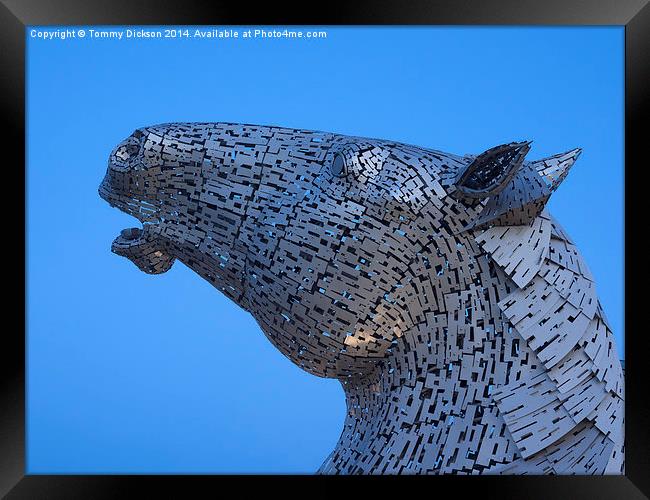 Kelpie Horse Sculpture at Blue Hour Framed Print by Tommy Dickson