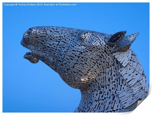 Kelpie Horse Sculpture at Blue Hour Print by Tommy Dickson