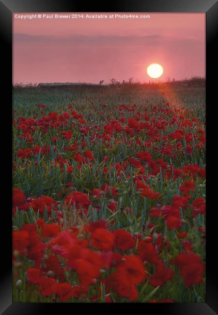 Poppies at Sunrise on top of Ridgeway Framed Print by Paul Brewer