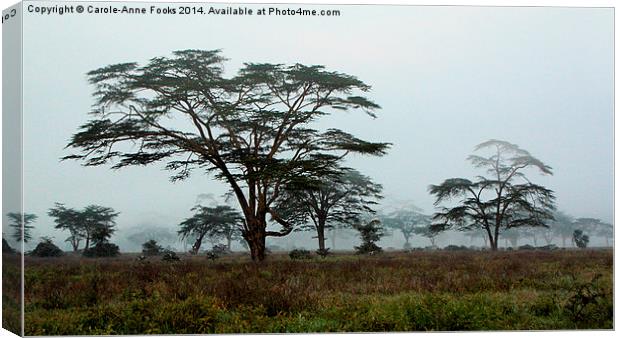 Foggy Morning, Lake Nakuru, Kenya Canvas Print by Carole-Anne Fooks