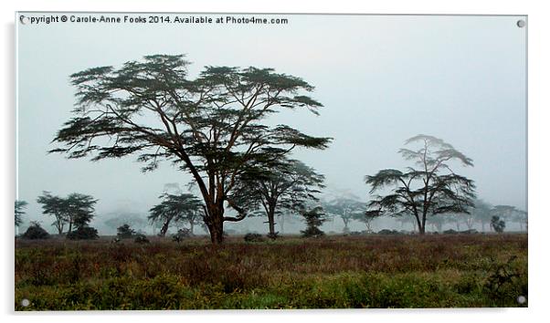 Foggy Morning, Lake Nakuru, Kenya Acrylic by Carole-Anne Fooks