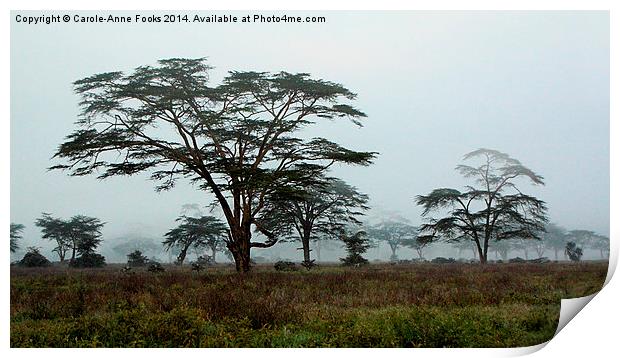Foggy Morning, Lake Nakuru, Kenya Print by Carole-Anne Fooks