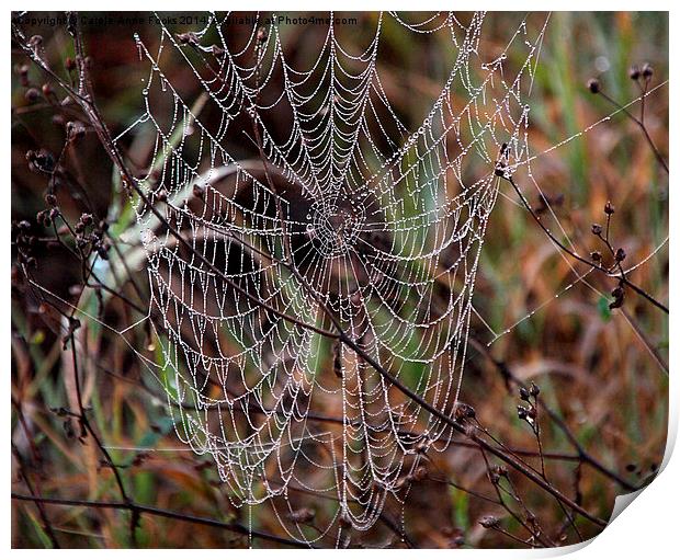 Spider Web with Water Doplets on a Foggy Morning Print by Carole-Anne Fooks
