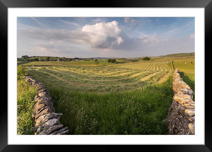 Litton Fields Framed Mounted Print by James Grant