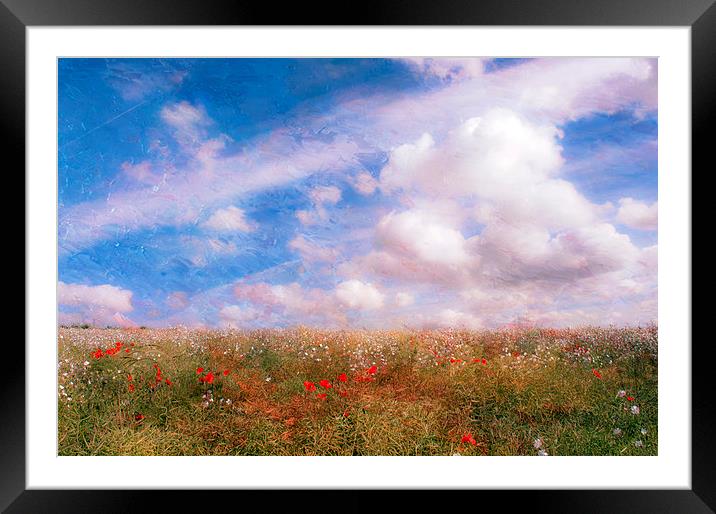 Summers Dream Framed Mounted Print by Dawn Cox