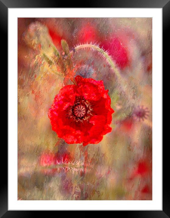 Paint it Red Framed Mounted Print by Dawn Cox
