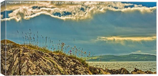 Midsummer at Portencross Ayrshire Canvas Print by Tylie Duff Photo Art
