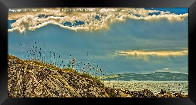 Midsummer at Portencross Ayrshire Framed Print by Tylie Duff Photo Art