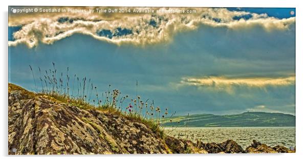 Midsummer at Portencross Ayrshire Acrylic by Tylie Duff Photo Art