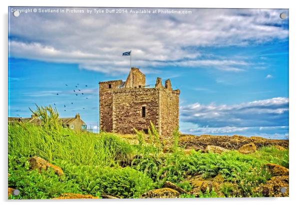 Portencross Castle Ayrshire at Midsummer Acrylic by Tylie Duff Photo Art