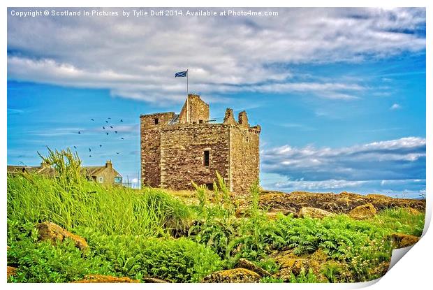Portencross Castle Ayrshire at Midsummer Print by Tylie Duff Photo Art