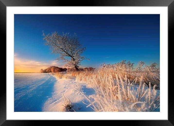 A winters morning Framed Mounted Print by Robert Fielding