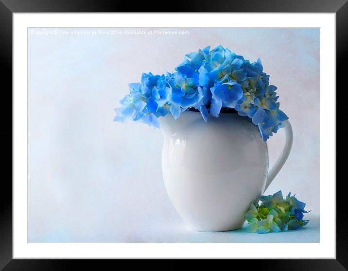 Delicately soft Framed Mounted Print by Fine art by Rina