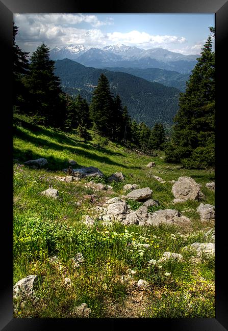 Greek Alpine  Meadow Framed Print by Oliver Porter