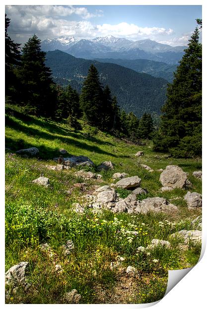 Greek Alpine  Meadow Print by Oliver Porter