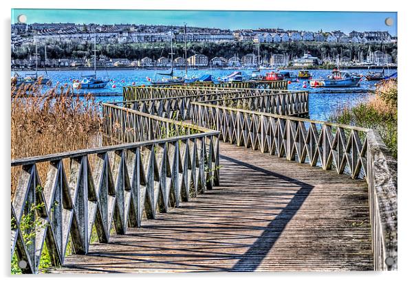 The Boardwalk Cardiff Bay Wetlands Acrylic by Steve Purnell