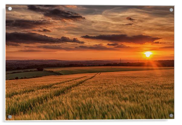 Salisbury Sunset Acrylic by stuart bennett