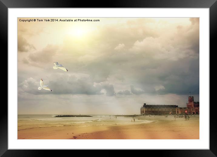 A Day At The Beach Framed Mounted Print by Tom York