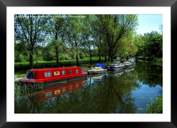 River Chelmer Framed Mounted Print by Diana Mower