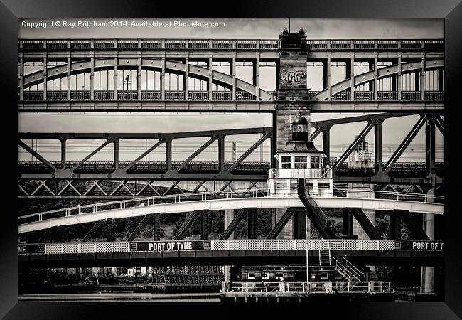Bridges Across the Tyne Framed Print by Ray Pritchard