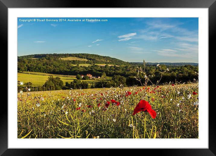 Poppies along the Darenth Valley Framed Mounted Print by Stuart Gennery