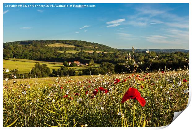 Poppies along the Darenth Valley Print by Stuart Gennery