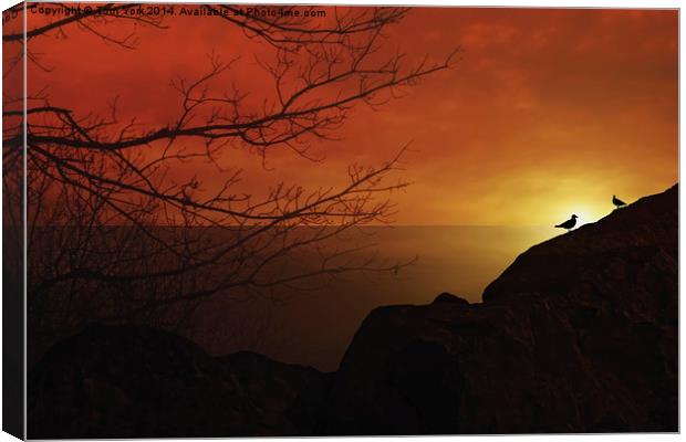Enjoying The Sunset Canvas Print by Tom York