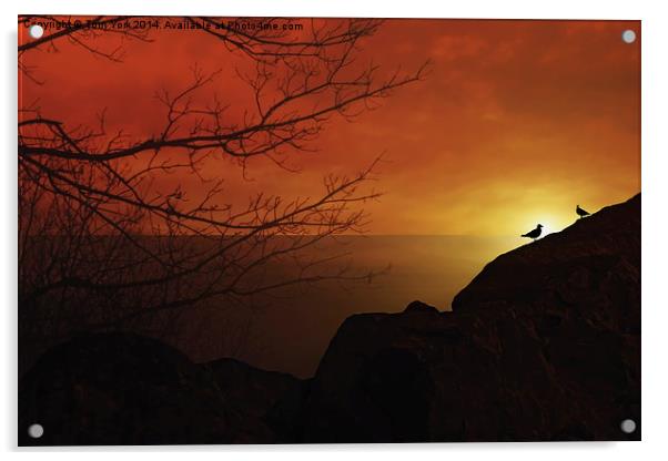 Enjoying The Sunset Acrylic by Tom York