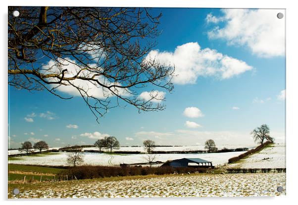 Snow in Spring Landscape Acrylic by Steven Garratt