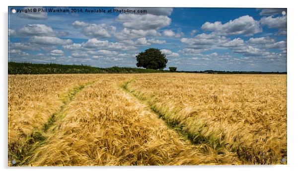 Through the cornfield Acrylic by Phil Wareham