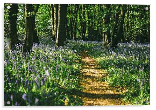 Path through wild Bluebells in ancient woodland. Acrylic by Liam Grant