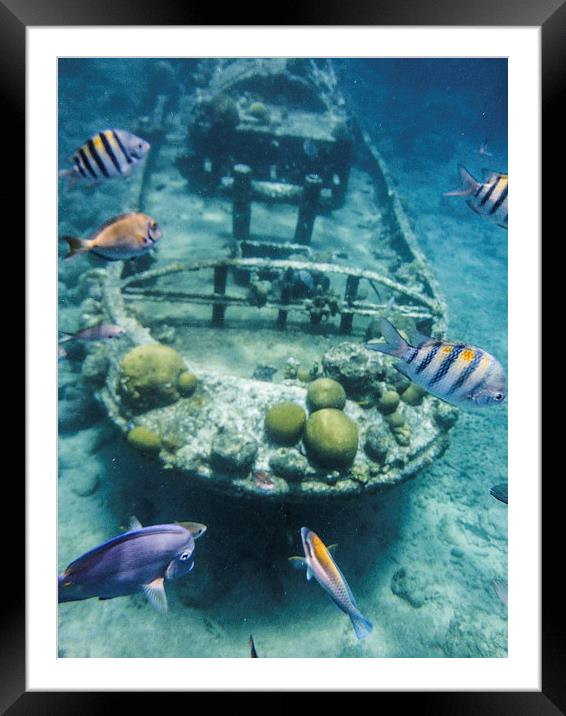 Snorkelling the Tug Boat Framed Mounted Print by Gail Johnson