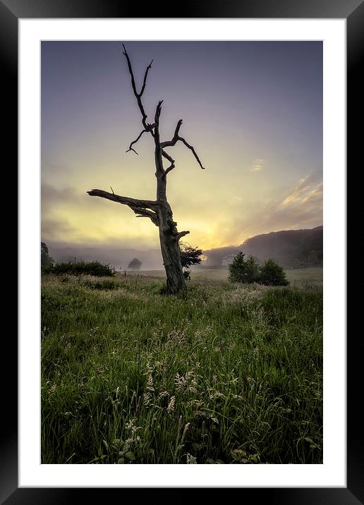 Misty summer sunrise Framed Mounted Print by Dave Wilkinson North Devon Ph