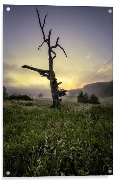 Misty summer sunrise Acrylic by Dave Wilkinson North Devon Ph