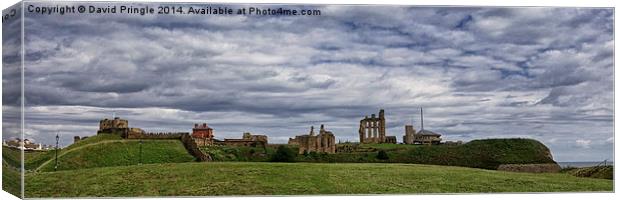 Tynemouth Castle and Priory Canvas Print by David Pringle