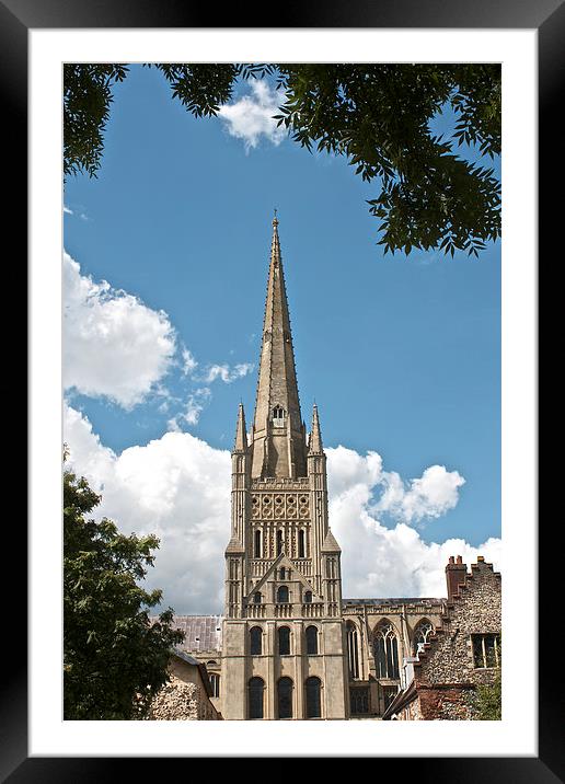 Norwich Cathedral Framed Mounted Print by Sally Lloyd