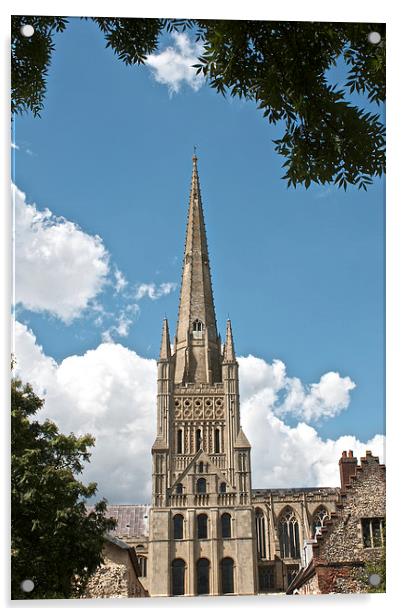 Norwich Cathedral Acrylic by Sally Lloyd