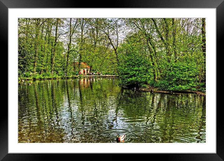 Thornton le Dale Duck Pond Framed Mounted Print by Tom Gomez
