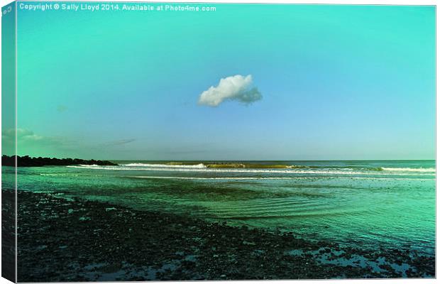 Lonely Cloud Happisburgh Canvas Print by Sally Lloyd