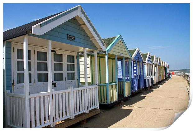 Southwold Beech Huts Print by Terry Stone