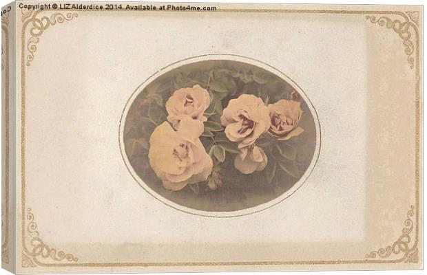 Vintage Roses Canvas Print by LIZ Alderdice