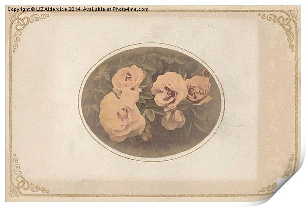 Vintage Roses Print by LIZ Alderdice