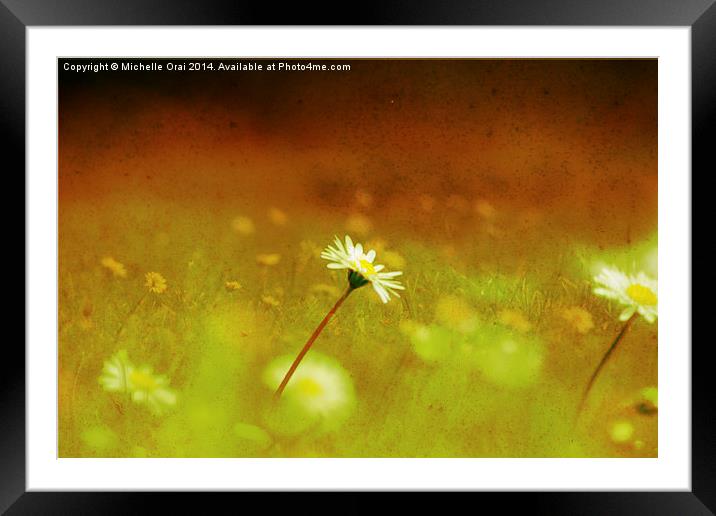 Vivid Daisy Compilation Framed Mounted Print by Michelle Orai