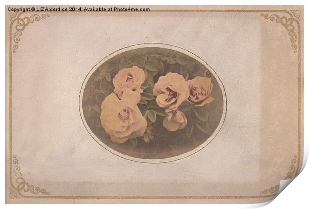 Vintage Roses II Print by LIZ Alderdice