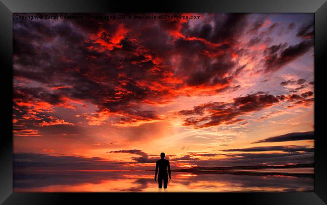 Sunset & Silhouette Framed Print by Sandi-Cockayne ADPS