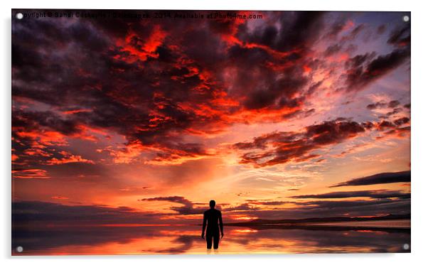 Sunset & Silhouette Acrylic by Sandi-Cockayne ADPS