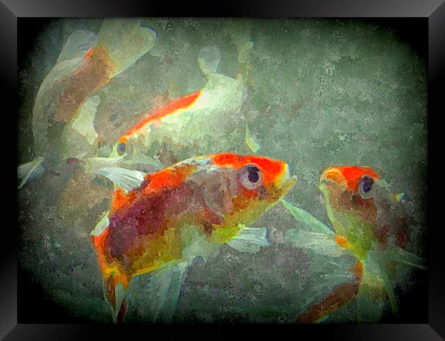 watercolor fish Framed Print by dale rys (LP)
