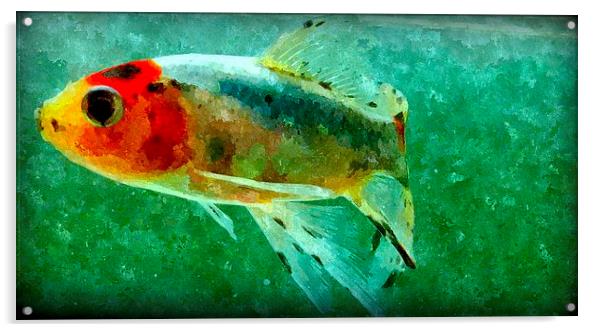 watercolor fish Acrylic by dale rys (LP)