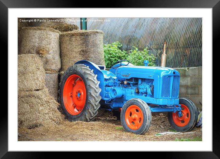 Blue Tractor Framed Mounted Print by Paula Connelly