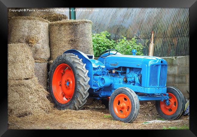 Blue Tractor Framed Print by Paula Connelly